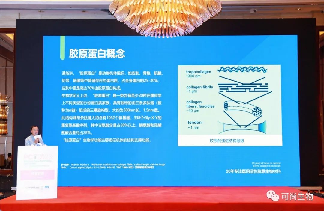 PCT2023圓滿落幕，缺端膠原備受市場青睐